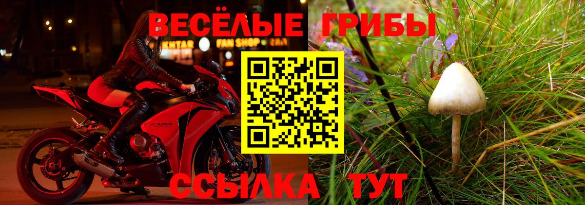 Галлюциногенные грибы ЛСД  Вход с VPN  Вязники 